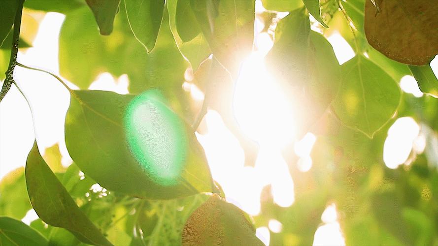 这个姿势躺3分钟瘦肚子,什么动作使全身气血运行快速