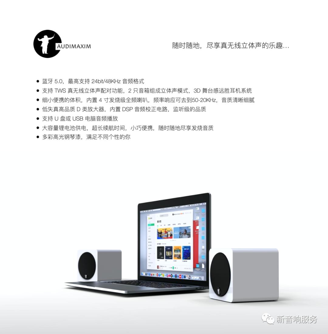 音乐大师AUDIMAXIM巴赫号角音箱+SONYSEM-5S号角音箱鉴赏会