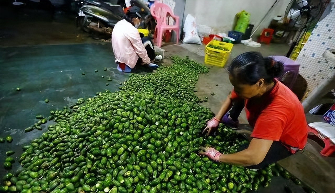 槟榔近千亿产业或受影响,槟榔产业发展的现状