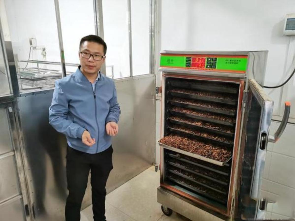 买这种野草一年赚200万 (一年赚200万的野草)