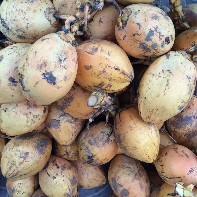 100多种罕见水果欣赏,100种罕见水果名字