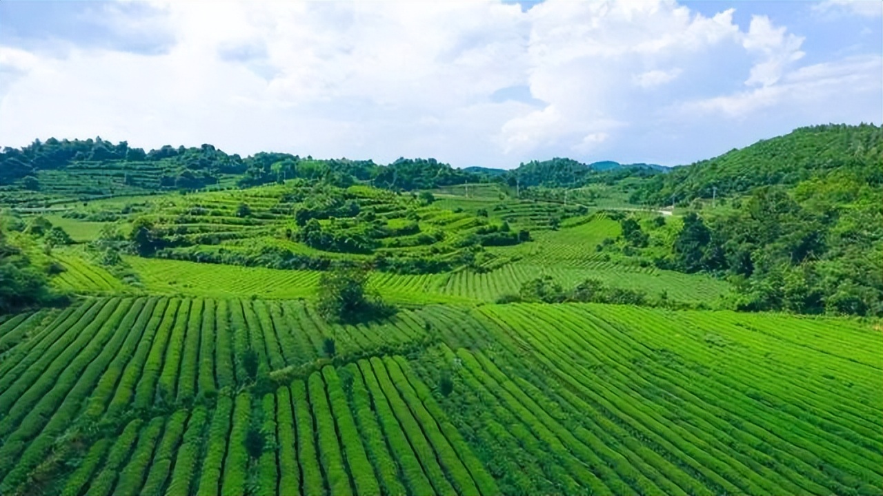 什么是经济学如何理解经济学,经济学的本质是什么