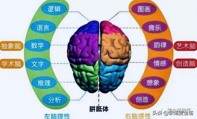 记忆力不好，试试这四种世界公认的记忆好方法