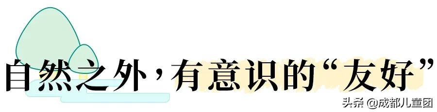 泡桐树街区,北京泡桐树街