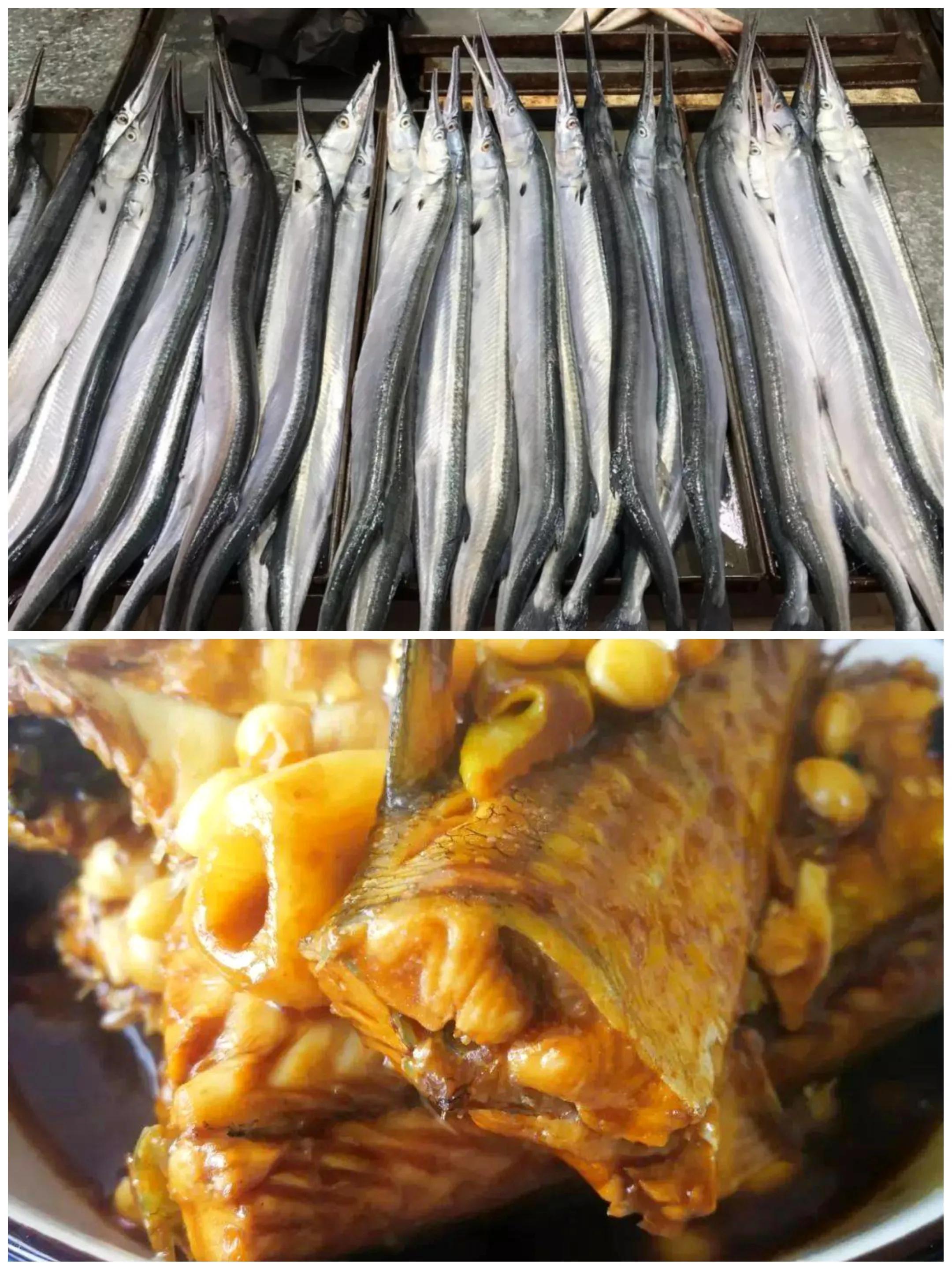 10种海鱼便宜营养价值高,30种最常吃的海鱼图片大全