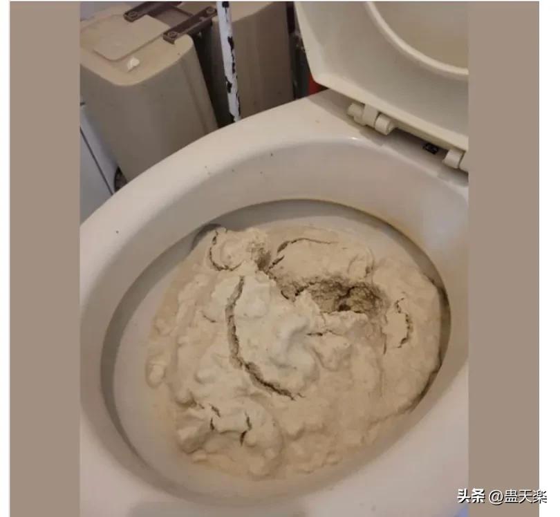 铲屎官忘记给猫咪放猫砂,铲屎官用猫砂盆上厕所