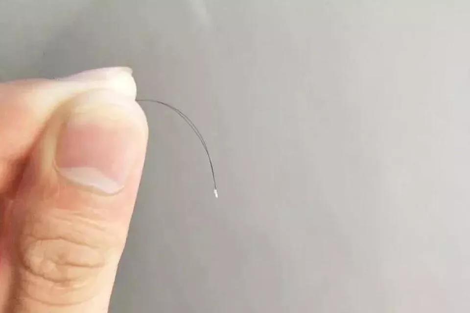 掉的头发根部没有小白点,头发根部小白点掉了还会长吗