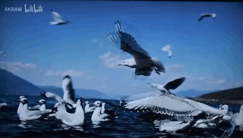 松下电视75jx900c评测,4k120hz电视hdmi2.1