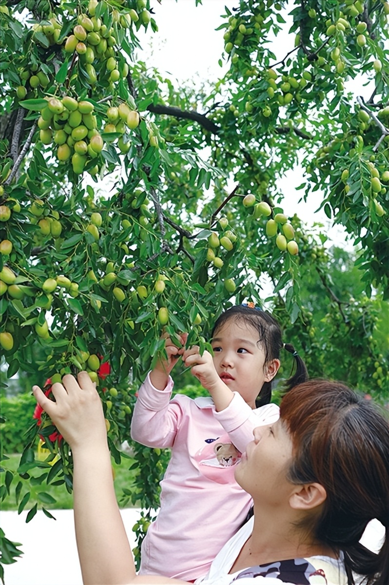 一座城市的发展不可限量,以县城为载体的城镇建设调研