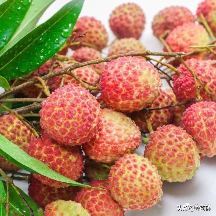 全球最好吃的荔枝在哪里,荔枝哪个品种最好吃