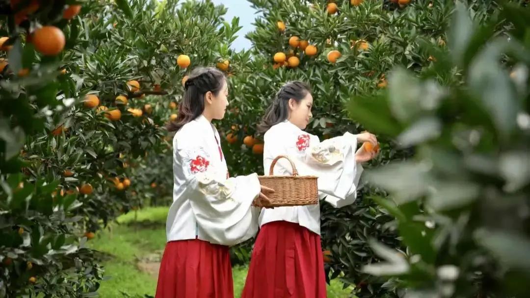 春节囤年货这几样不能错过,钱包又快捂不住了