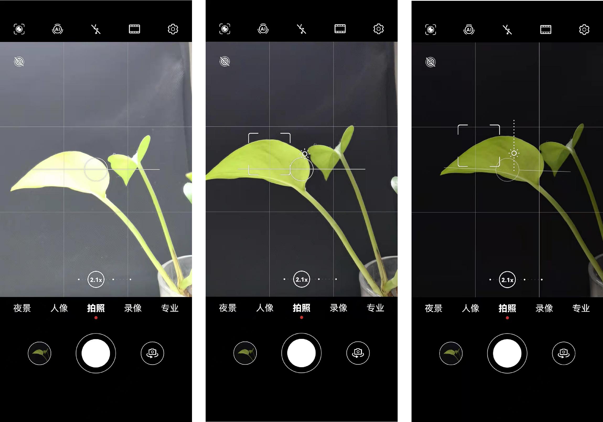 华为手机相机对焦彩色点如何去除,华为手机拍照对焦点背景模糊