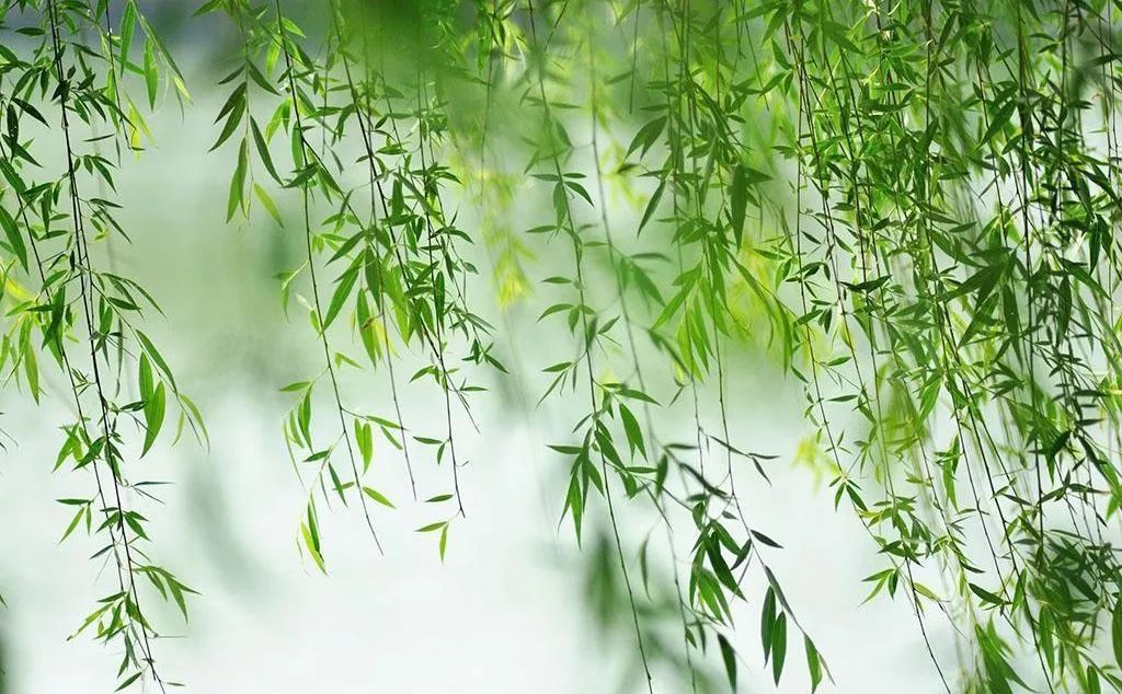 初春的诗词精选,描写初春的诗词佳句