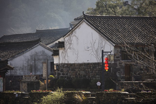 农村创业好项目新商机种植,农村创业项目小成本30平