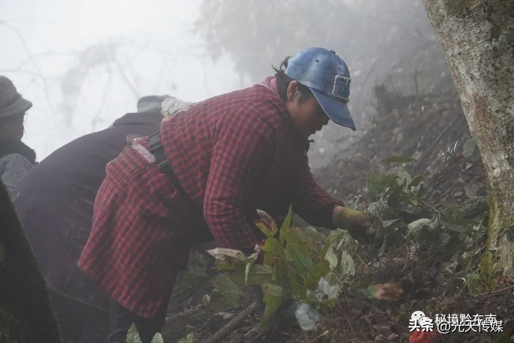 贵州春暖大地农事忙,春耕促生产春暖备耕忙