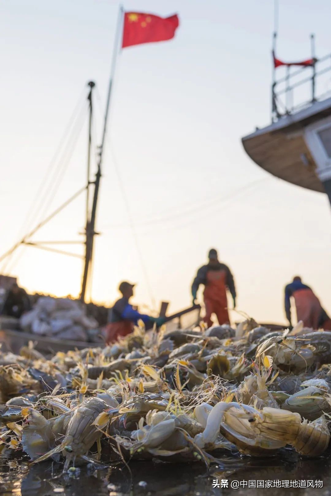 海鲜、瓷器与钢铁！最被低估的“河北第一城”，到底有多猛？