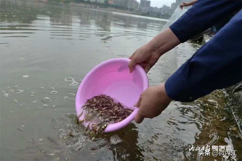 我们一起经历了难忘的事,我们一起经历的瞬间
