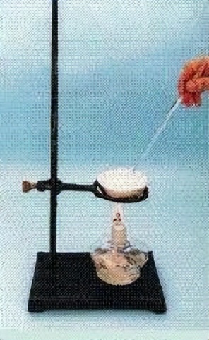 科学知识大全小学生必背,科学知识大全全集