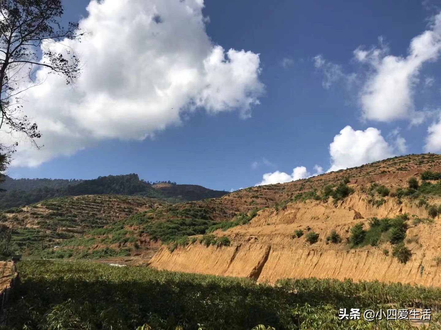 马来西亚旅游新型骗局,马来西亚旅游骗局曝光