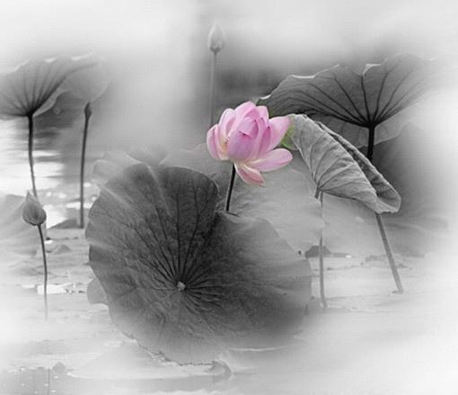 让你内心变强大的十句话,如何使内心变得更强大