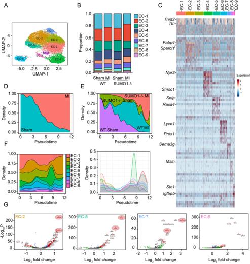 journalofpharmaceuticalanalysis投稿,心血管疾病研究进展期刊