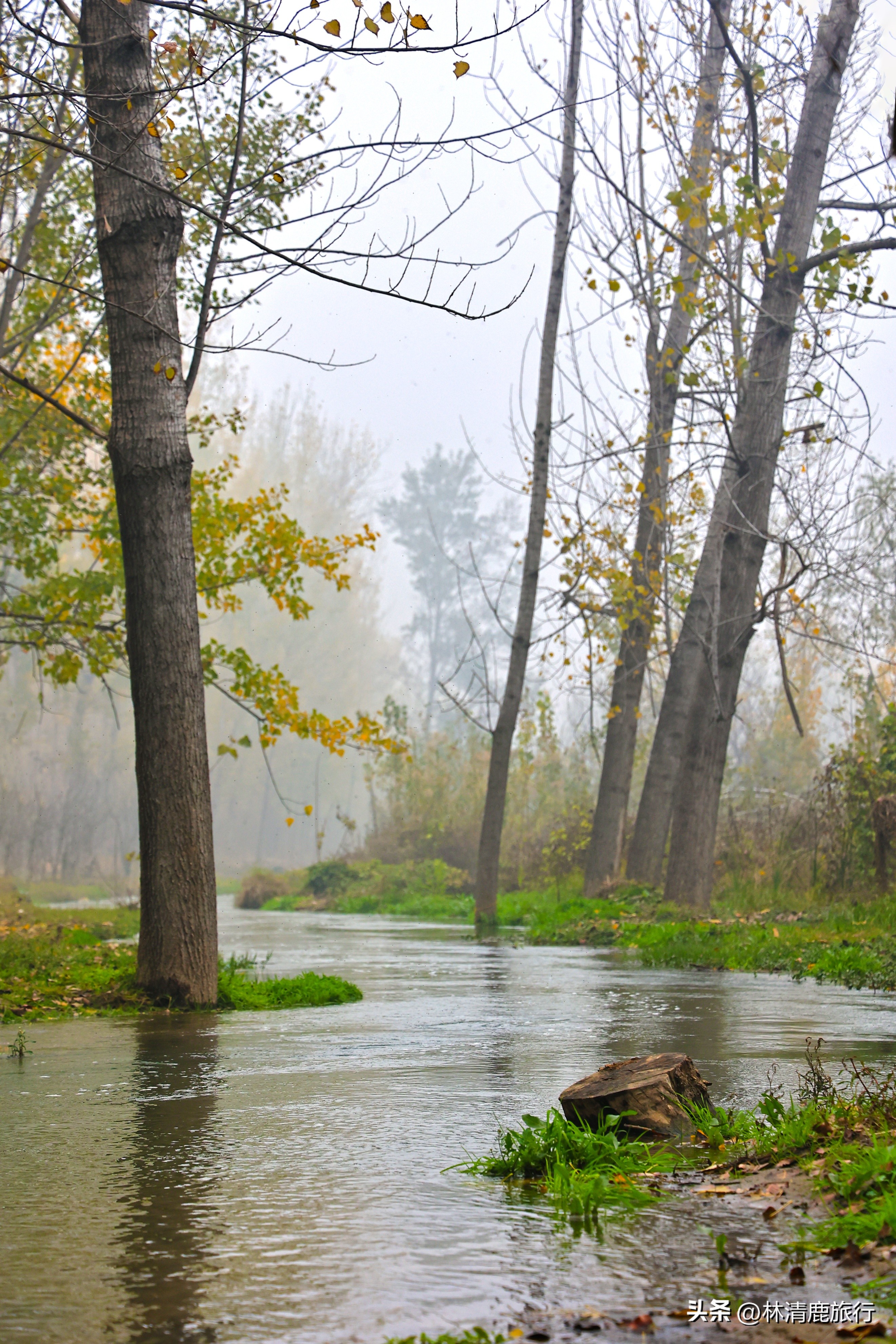 实拍火遍郑州的潮河：被誉为“小伊犁”，好多人来露营烧烤