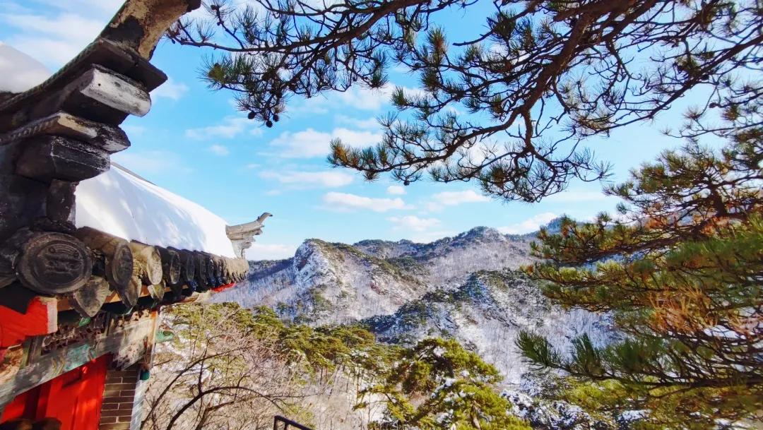 新年文旅大礼包,喜迎新春送豪礼活动