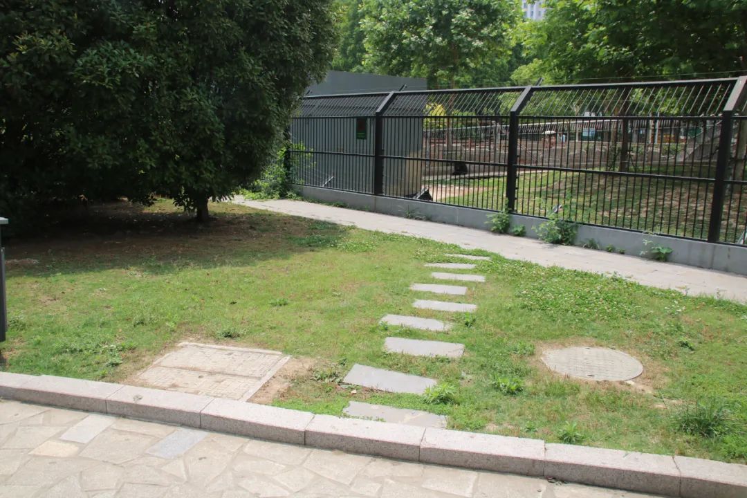 淮安动物园位置,淮安动物园多大面积