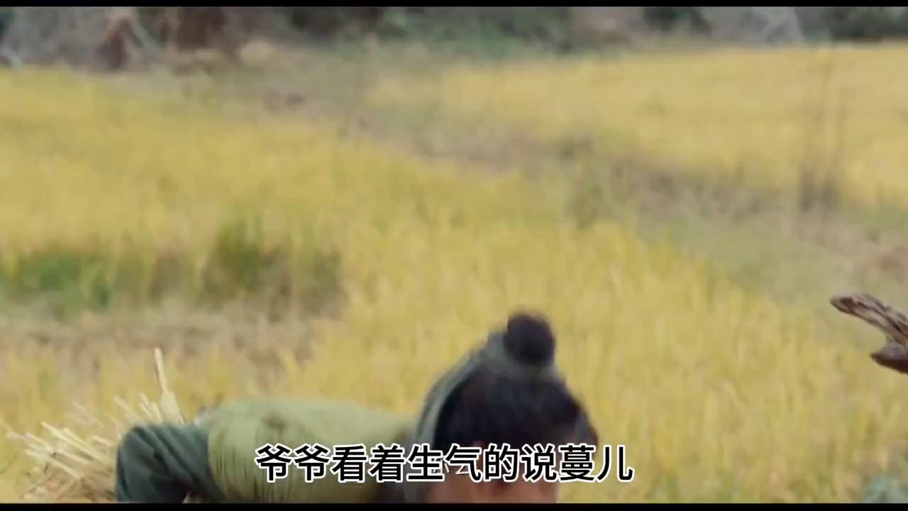 田耕纪第一集到最后一集,田耕纪最后一集彩蛋