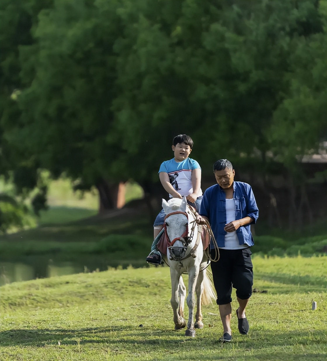 2022年上半年十部高分剧排行榜,2019上半年国产剧评分top10