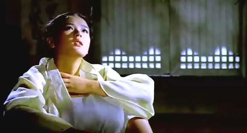 曾经火遍亚洲的韩国电影,90年代早期韩国电影声名鹊起