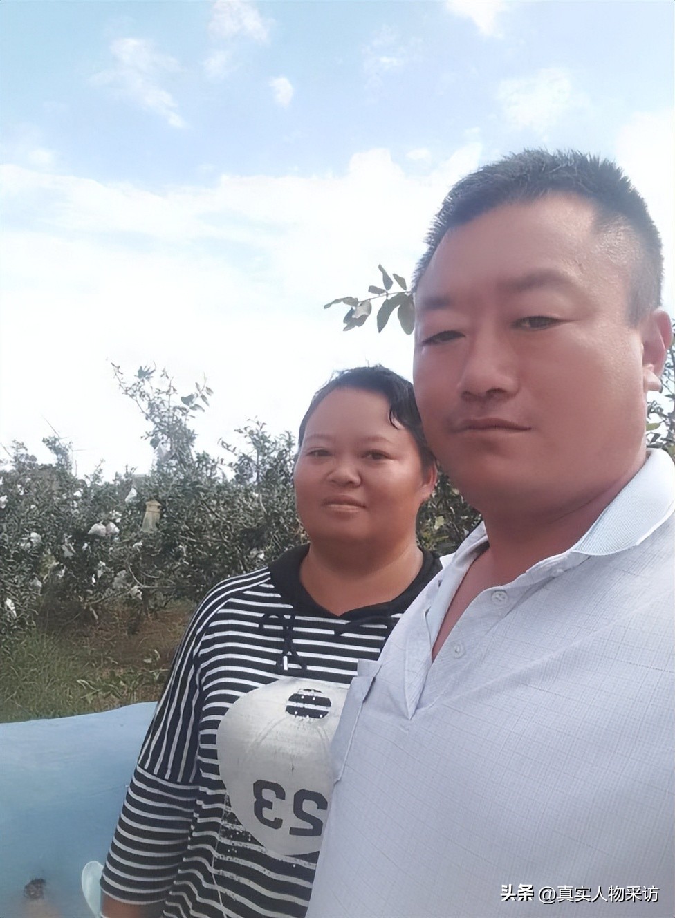 种石榴一亩收入多少钱,种10亩石榴一年收入