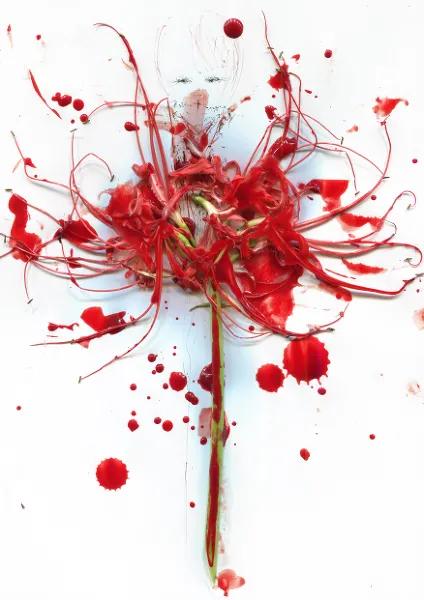 曼珠沙华山口百惠 (曼珠沙华是什么花)