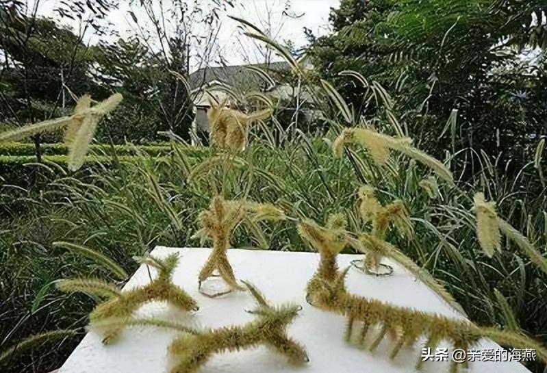 小班益智区自制玩具100例简单,如何给小孩自制不容易损坏的玩具