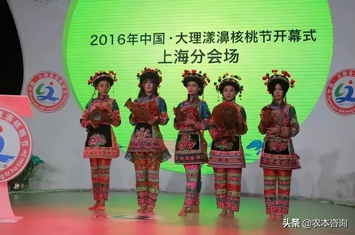 漾濞县核桃产业,漾濞核桃多样性