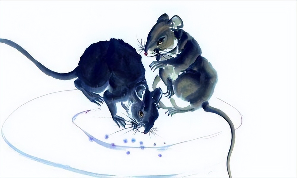 和妻子争吵是什么生肖,夫妻争吵是什么生肖