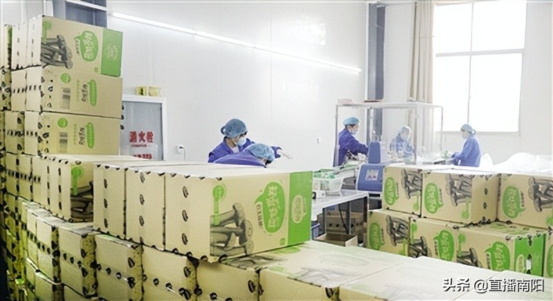 走绿色发展之路推动县域经济发展,走绿色发展之路开生态富民之花