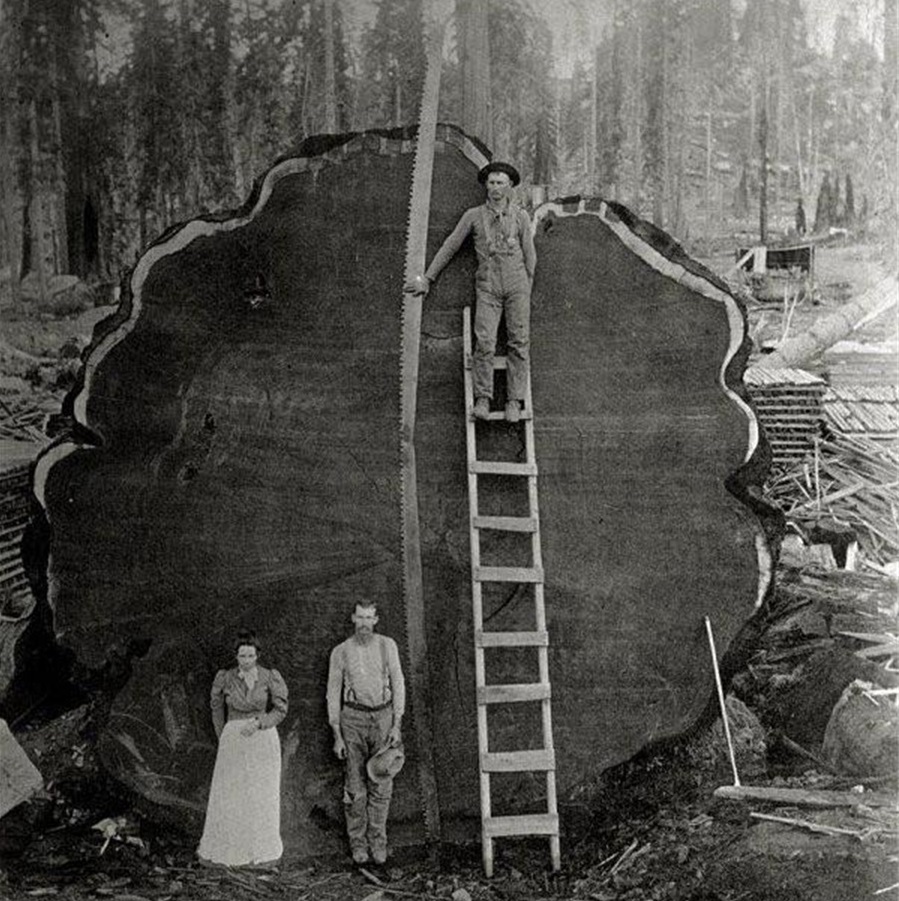 美国女人的收藏品,全美服装比赛上的佳丽,40张照片带你看全球