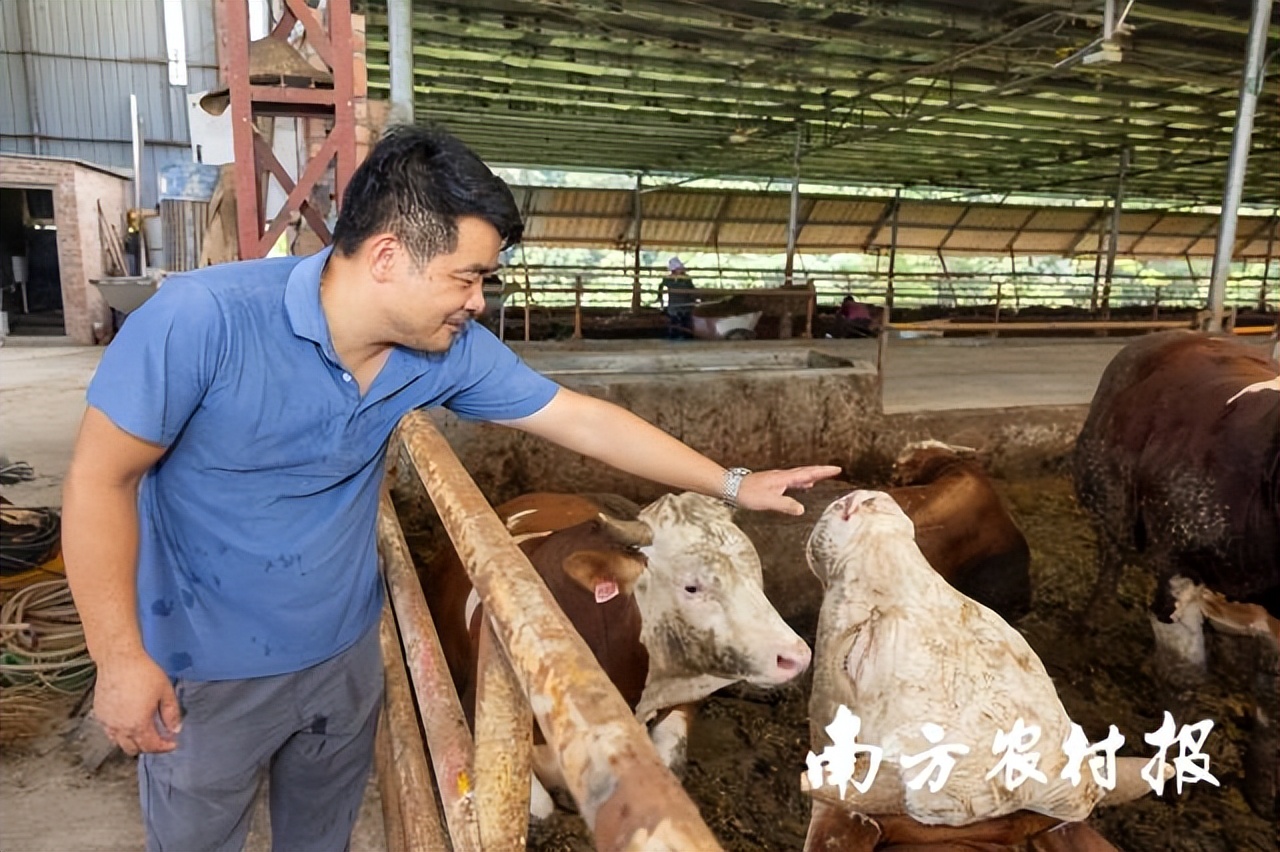 此心安处是吾乡全诗,吾心归处是吾乡议论文