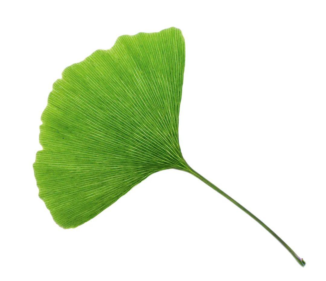 被商家吹上天的4种保健品,购买保健品要警惕小心被套路