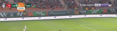 突尼斯纳米比亚比赛结果,突尼斯vs纳米比亚0比1