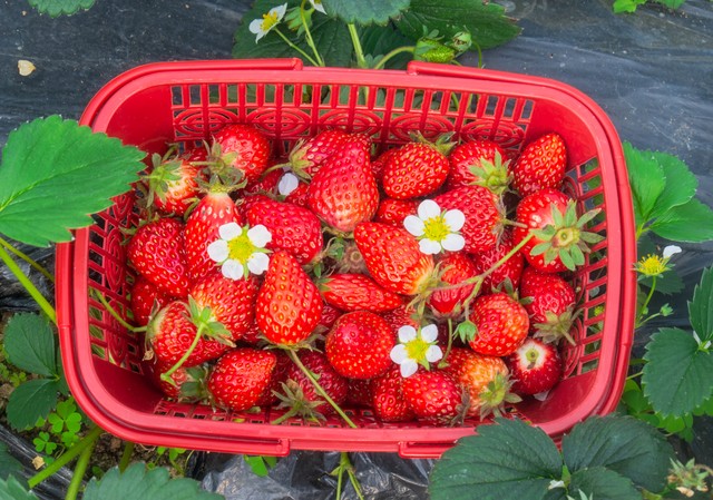 快速敛财的两种方法，第一种实在是不敢用！