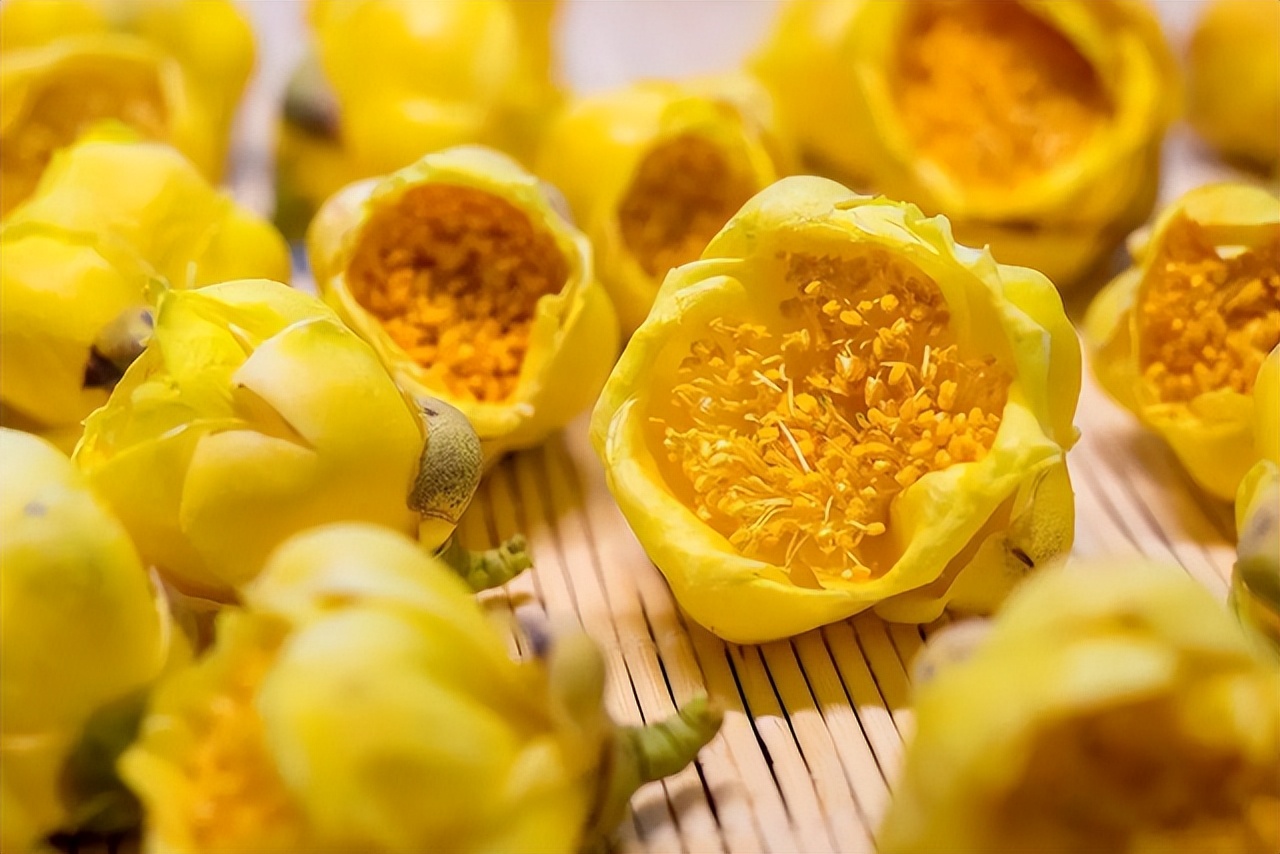 植物中的大熊猫是什么,植物大熊猫有哪些品种