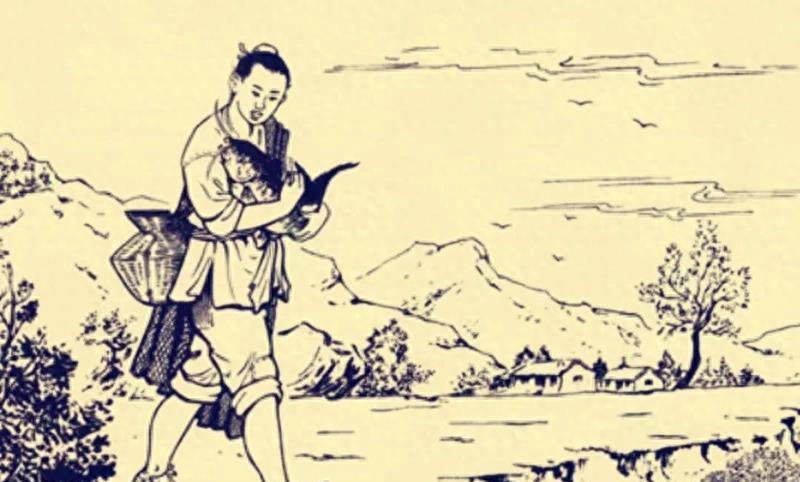 夜晚的回报：大鱼的预言让女子震惊！