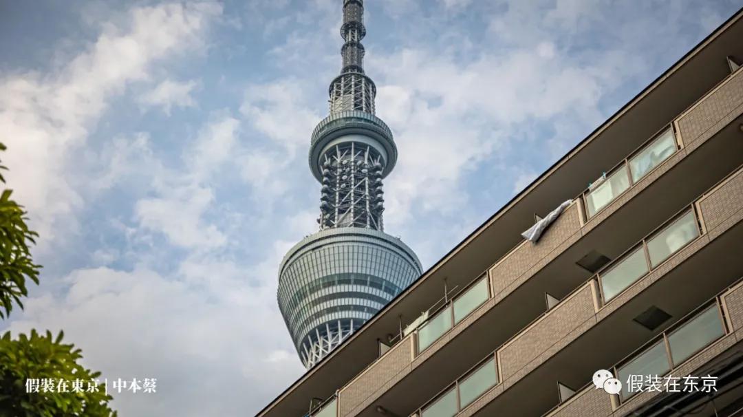 365张照片回顾,365张相片