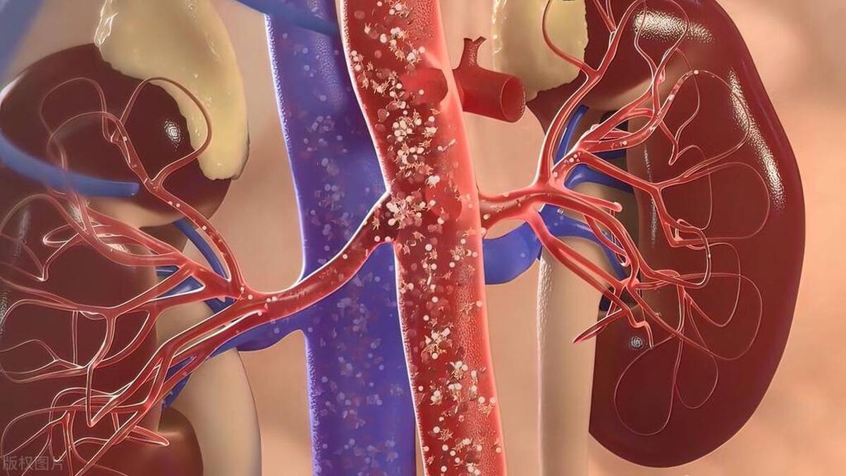 动不动就一身汗是体虚还是排毒,经常出一身汗是身体哪里出问题了