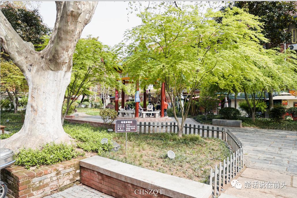 武汉又添宝藏新去处,带你提前踩点武汉宝藏露营地