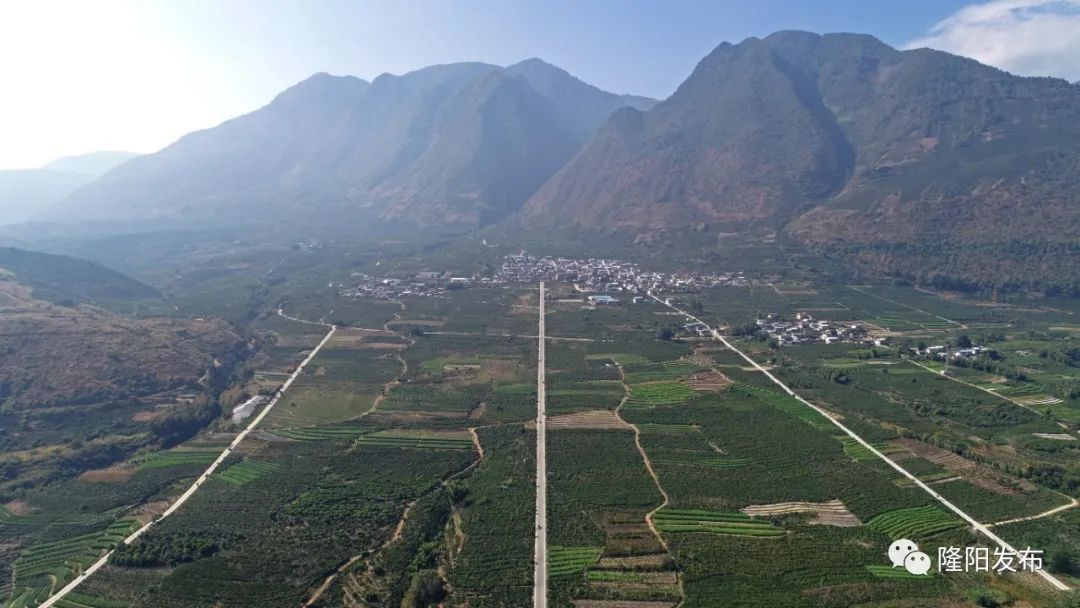 保山小粒咖啡未来的发展趋势,保山小粒咖啡的未来发展