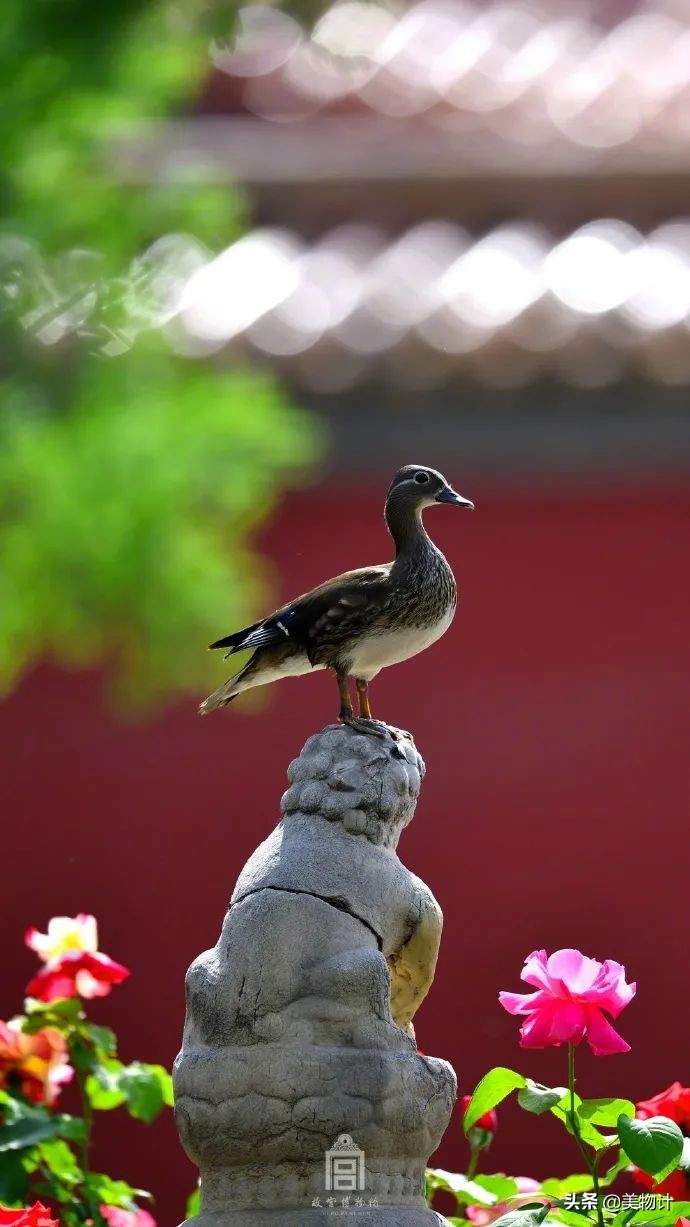 愿五月平安顺利开心,愿五月一切平安顺遂