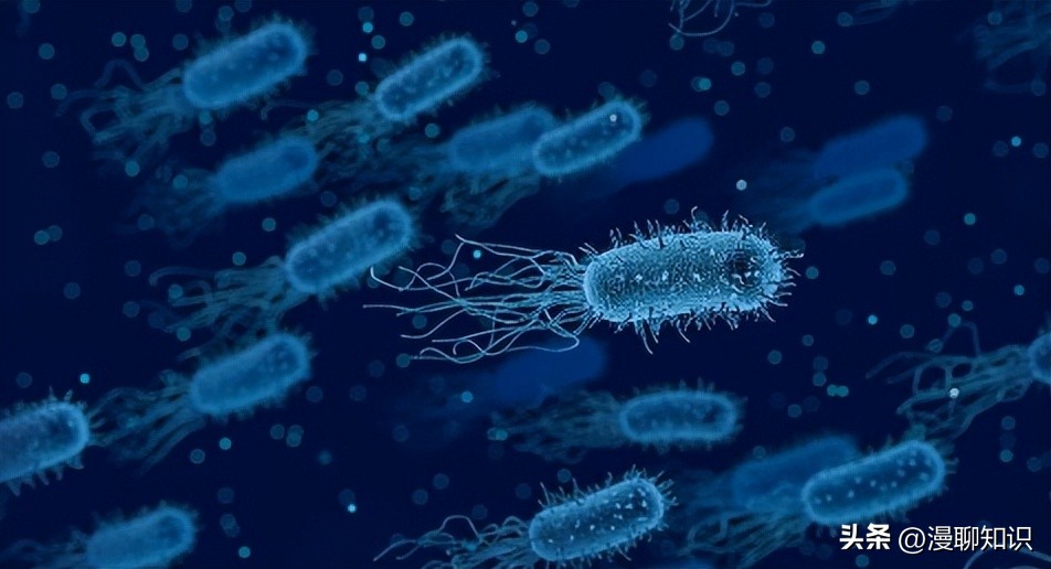 妇阴康洗剂效果怎么样,妇阴康洗剂是抗生素药吗